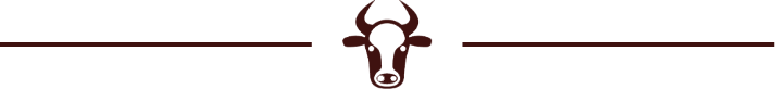 cow head icon
