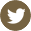 twitter-icon